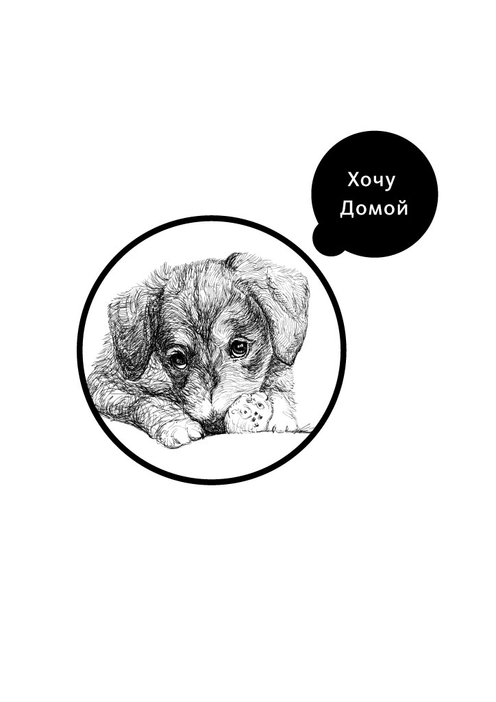 logo_dog_1